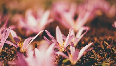 как сделать удачу своими руками